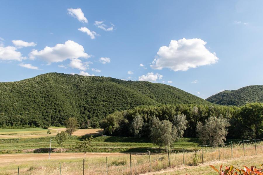 Il Colombaio Agriturismo Montegabbione Zewnętrze zdjęcie